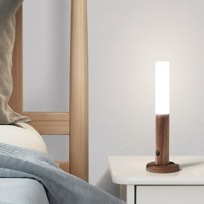 LED Magnetic Sensor Light – Wireless Wardrobe Light